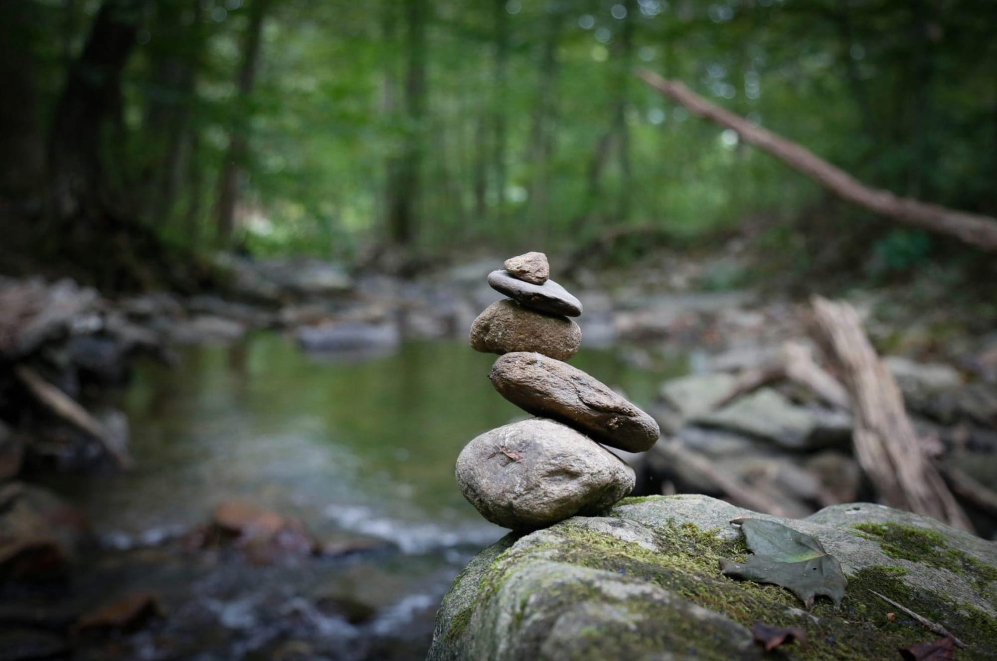Returning to Balance: An Equinox Gathering on Growing Collective Futures